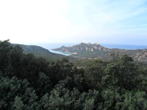 Příroda nedaleko vily + 2 fotografie