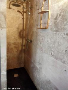 a shower stall with a shower head and a mirror at Gite Chez Tof et Ninie in Houlle