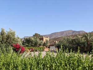a garden with a bench and mountains in the background at hotel and restaurant kasbah draa in Agdz