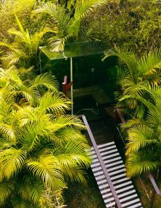 a staircase leading to a room with palm trees at Exclusive Huts in Gravatá