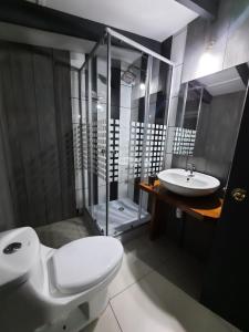 PiruquinaにあるLiwen Cabaña Pastahueのトイレと洗面台のあるバスルーム