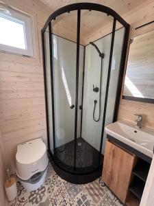 a bathroom with a shower and a toilet and a sink at Celoročně obyvatelná maringotka Kratochvíle 