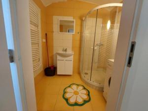 a bathroom with a shower and a sink at Apartment ČSA 2 Historic Downtown Hradec Králové in Hradec Králové +16 photos