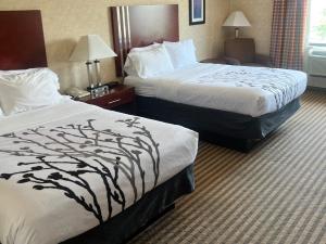 a hotel room with two beds with white sheets at Lynchburg Grand Estate by IHG in Lynchburg