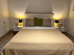 a bedroom with a large bed with two lamps at Black and Ginger Residence in Zrenjanin