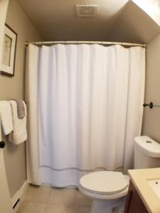 a bathroom with a shower curtain and a toilet at Bright Front Facing Unit - Private Front Farmers Porch in Manchester