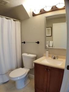 a bathroom with a toilet and a sink and a mirror at Bright Front Facing Unit - Private Front Farmers Porch in Manchester