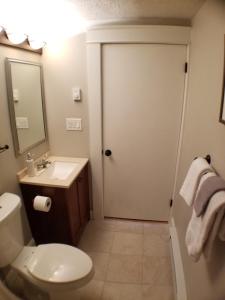 a bathroom with a toilet and a sink and a mirror at Bright Front Facing Unit - Private Front Farmers Porch in Manchester
