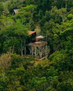 a house in the middle of a forest at Exclusive Huts in Gravatá