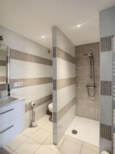 a bathroom with a shower and a sink and a toilet at Chambre Ephedra in Sampzon
