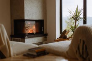 MăguriにあるCasa de Jos - Pe Dealul Mieilor - Cabană cu Jacuzzi și Saună în Măguriのリビングルーム(暖炉、テレビ付)