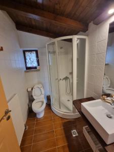 a bathroom with a shower and a toilet and a sink at Stone View Nest - By Ski Alure in Arachova
