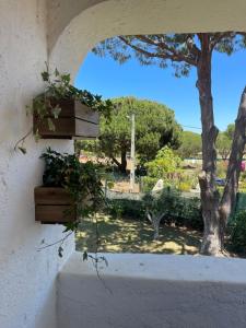 オーリョス・デ・アーグァにあるEstúdio na Falésia 2の木のある建物から見た庭の眺め +11枚の写真