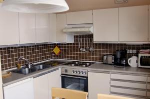 Kuchyň nebo kuchyňský kout v ubytování Apartment Bergblick