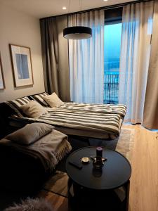 Posezení v ubytování Levi Fjällen 6