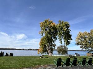 a group of chairs and a tree next to a lake at Windjammer Lodge in Ogdensburg +7 photos