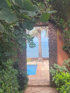 an archway leading to a swimming pool with a palm tree at Villa Atlantique Toubab Dialo in Toubab Dialaw +27 photos