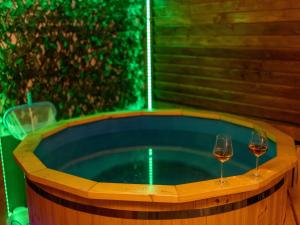 Gallery image of Pensiunea Castel in Timisul de Jos