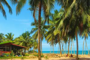 Φυσικό τοπίο κοντά σε αυτό το διαμέρισμα