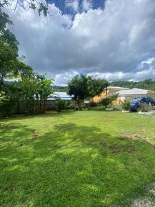 een tuin met een groen gazon met een boom bij T2 Tropical avec terrasse et jardin in La Trinité