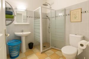 een badkamer met een douche, een toilet en een wastafel bij T2 Tropical avec terrasse et jardin in La Trinité
