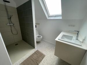 a bathroom with a shower and a sink and a toilet at Le Kintz' in Kintzheim