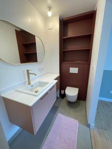 a bathroom with a sink and a toilet at Le Kintz' in Kintzheim