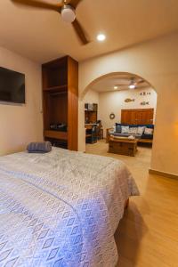 Μια τηλεόραση ή/και κέντρο ψυχαγωγίας στο Comoda habitacion a unos pasos de la playa - 2