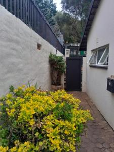 a bunch of yellow flowers in front of a building at Sunlit Retreat Constantia Kloof in Roodepoort