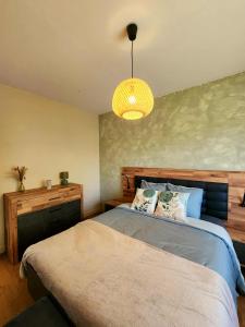 a bedroom with a bed and a pendant light at La Vernoisienne dans le Jura in Le Vernois