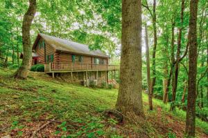 a log cabin in the middle of a forest at Banner Bunks at River Run in Banner Elk