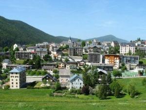 ヴィラール・ド・ランにあるCharmant 2 Pièces en Cœur de Village, Proche Piscine et Patinoire - 5 Pers, 46m² - FR-1-515-89の緑地の建物が並ぶ大都市