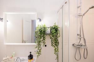 a bathroom with a shower with a plant on the door at Central Retreat - Cozy & Charming Apartment in Arad