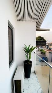 ラゴスにあるLuxe Apartments Surulereの鉢植え