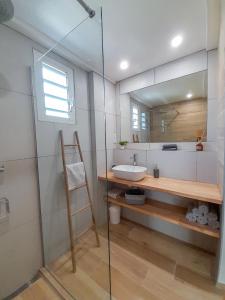 een badkamer met een wastafel en een glazen douche bij La Petite Villa Guadeloupe in Sainte-Anne