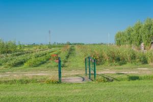 a gate in the middle of a field at Agriturismo coda di gatto in Eraclea +4 photos