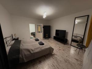 a bedroom with a bed and a large mirror at Míra Apartman in Gödöllő
