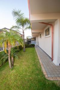 a house with palm trees and a walkway at XVI Secolo House in Scalea