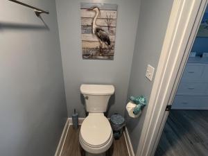a bathroom with a toilet and a picture of a bird at El Galeon 3BR – Bay Views, Beach, Boat Dock in Punta Gorda Beach +20 photos