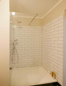 a bathroom with a shower with a glass door at Spacious Apartment,Balcony&Garage in Bratislava