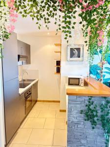 Kuchyň nebo kuchyňský kout v ubytování Le Refuge des Aventuriers - Parking Gratuit - Clim