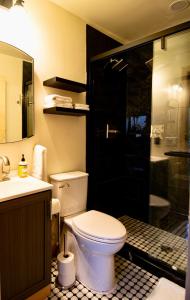 a bathroom with a toilet and a shower at Stunning city views guesthouse in Saint Paul