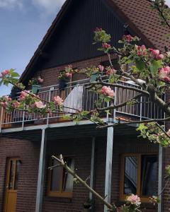 OsterbruchにあるFerienwohnung Kalleのピンクの花が咲くバルコニー付きの家