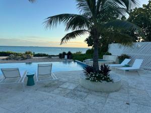 Příroda nedaleko vily + 46 fotografií