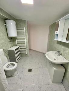 un bagno con un water e un lavandino di Villa Lilak a Bihać