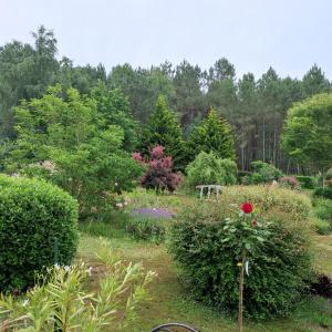 ein Garten mit Blumen und Bäumen im Hintergrund in der Unterkunft chambre plan d eau in Saint-Biez-en-Belin