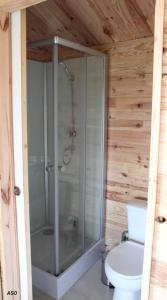 a glass shower in a bathroom with a toilet at Le chalet bien-être de Vanessa in Peyret-Saint-André