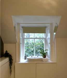 ゴアブリッジにあるHarvieston Estate Roomsのバスルーム(窓の前に洗面台付)