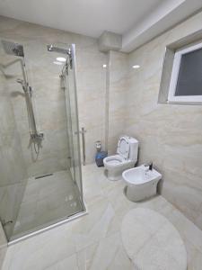 Koupelna v ubytování Fejzullahu Apartment