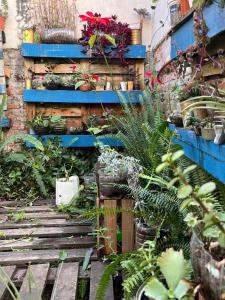 a garden with potted plants on a brick wall at Renacer en Salta in Salta